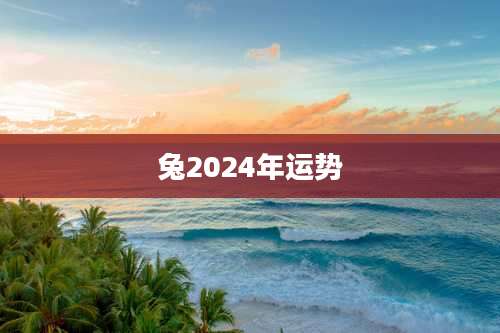 兔2024年运势