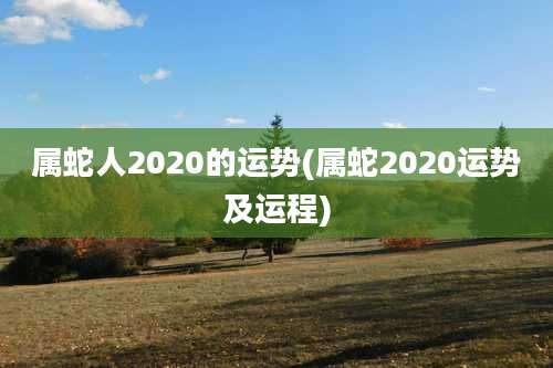 属蛇人2020的运势(属蛇2020运势及运程)