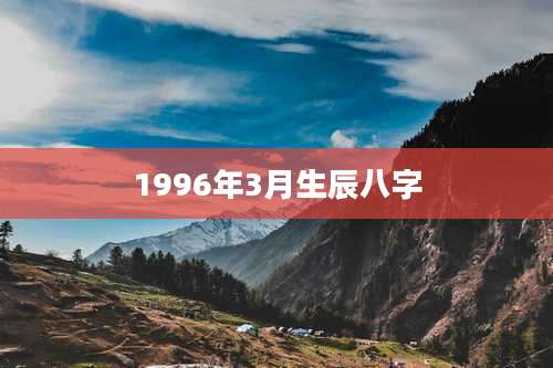 1996年3月生辰八字
