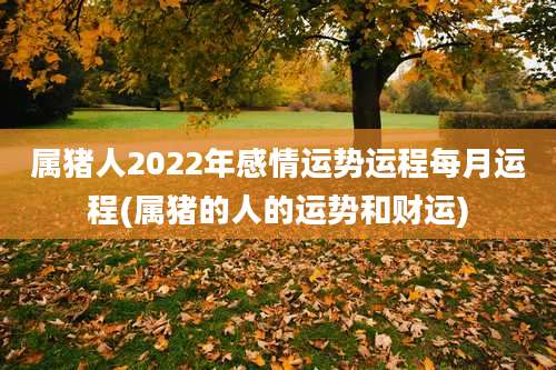 属猪人2022年感情运势运程每月运程(属猪的人的运势和财运)