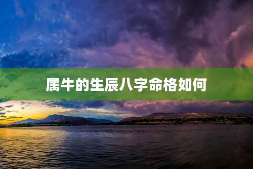 属牛的生辰八字命格如何