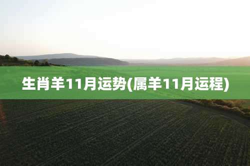 生肖羊11月运势(属羊11月运程)