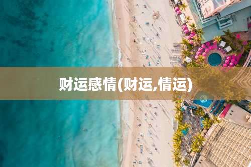 财运感情(财运,情运)