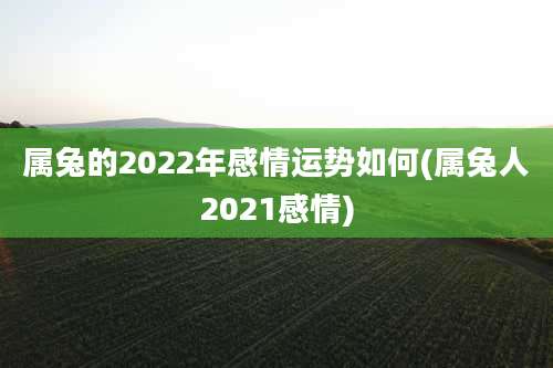 属兔的2022年感情运势如何(属兔人2021感情)