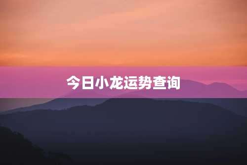 今日小龙运势查询