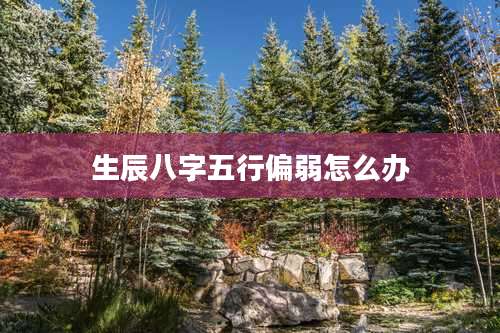 生辰八字五行偏弱怎么办