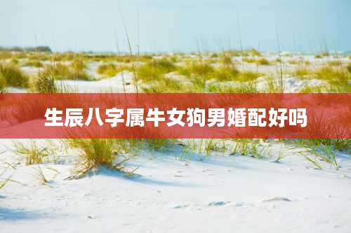 生辰八字属牛女狗男婚配好吗