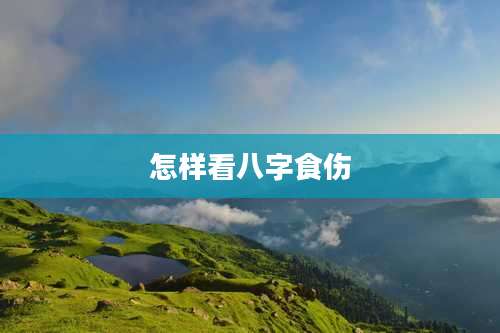 怎样看八字食伤