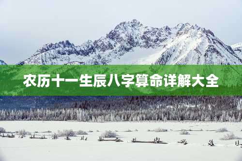 农历十一生辰八字算命详解大全