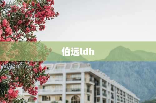 伯远ldh