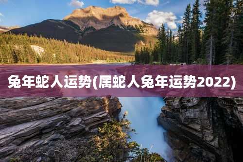 兔年蛇人运势(属蛇人兔年运势2022)