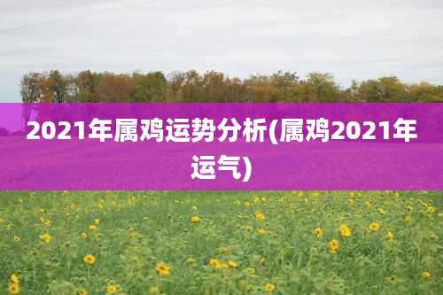 2021年属鸡运势分析(属鸡2021年运气)