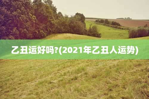 乙丑运好吗?(2021年乙丑人运势)