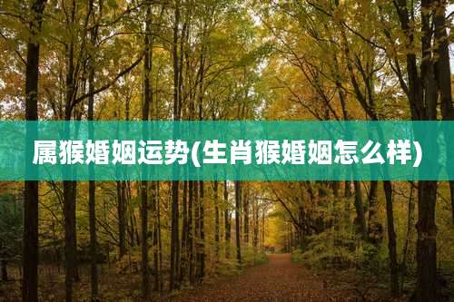 属猴婚姻运势(生肖猴婚姻怎么样)