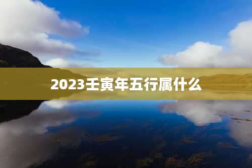 2023壬寅年五行属什么