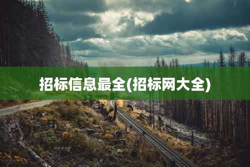招标信息最全(招标网大全)