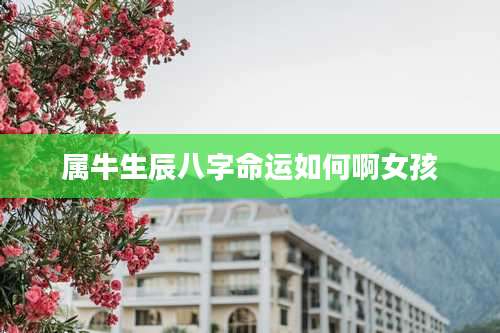 属牛生辰八字命运如何啊女孩