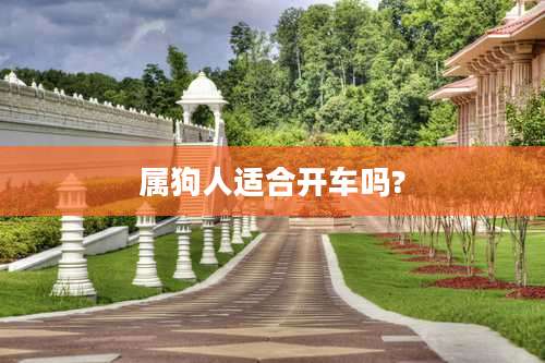 属狗人适合开车吗?