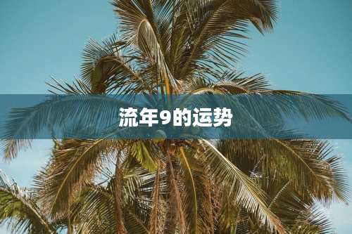 流年9的运势
