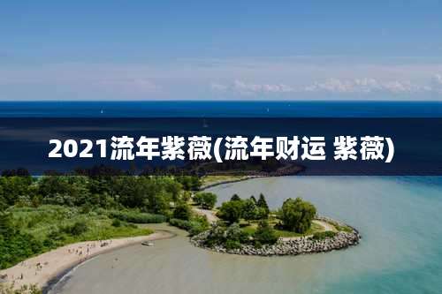2021流年紫薇(流年财运 紫薇)