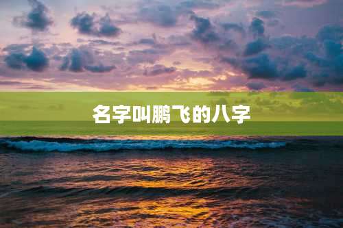 名字叫鹏飞的八字