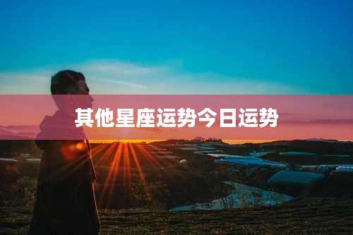 其他星座运势今日运势