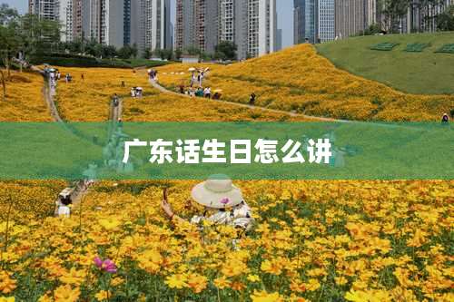 广东话生日怎么讲