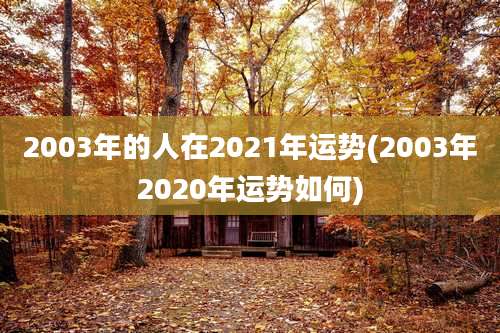 2003年的人在2021年运势(2003年2020年运势如何)