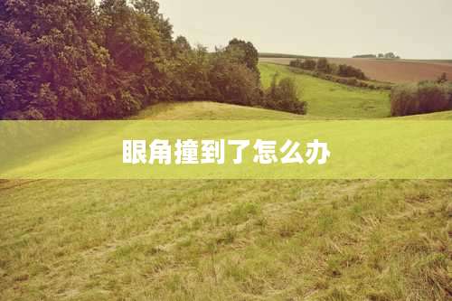 眼角撞到了怎么办