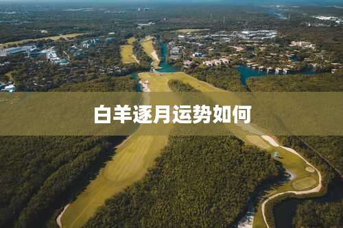 白羊逐月运势如何