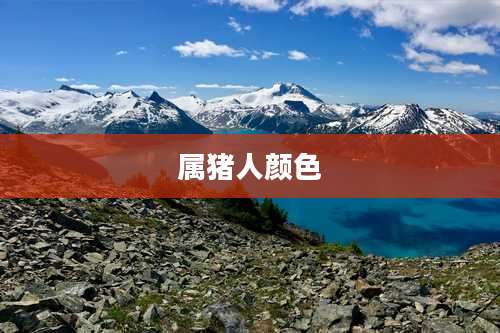 属猪人颜色