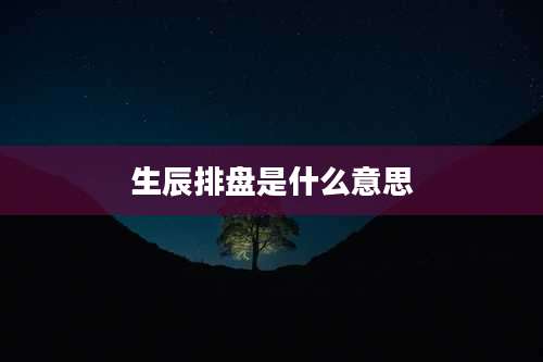 生辰排盘是什么意思