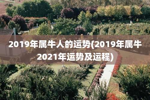 2019年属牛人的运势(2019年属牛2021年运势及运程)