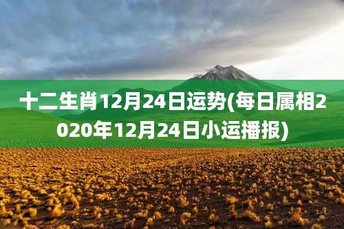 十二生肖12月24日运势(每日属相2020年12月24日小运播报)