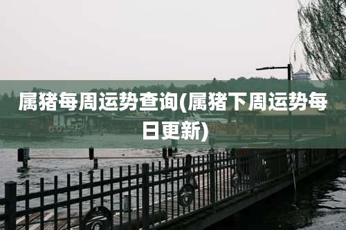 属猪每周运势查询(属猪下周运势每日更新)