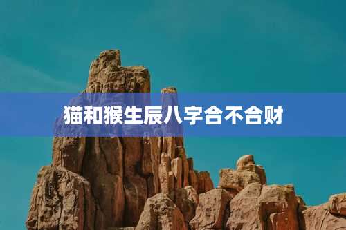 猫和猴生辰八字合不合财