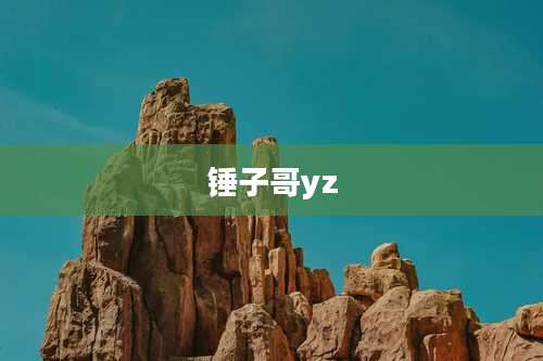 锤子哥yz