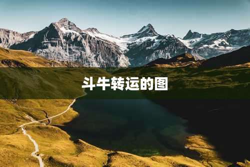 斗牛转运的图