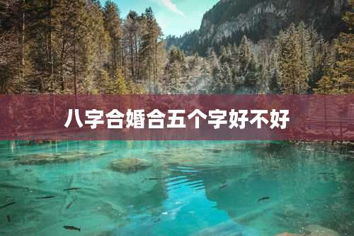 八字合婚合五个字好不好