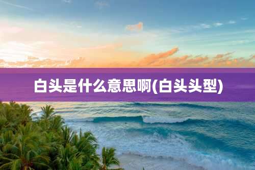 白头是什么意思啊(白头头型)