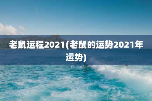 老鼠运程2021(老鼠的运势2021年运势)
