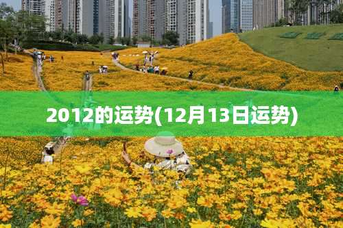 2012的运势(12月13日运势)
