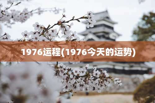 1976运程(1976今天的运势)