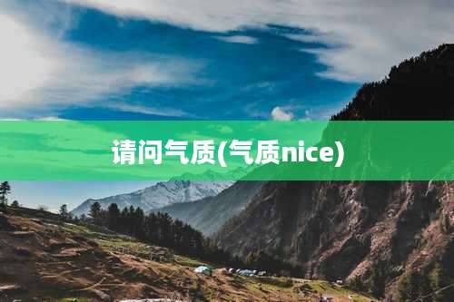 请问气质(气质nice)