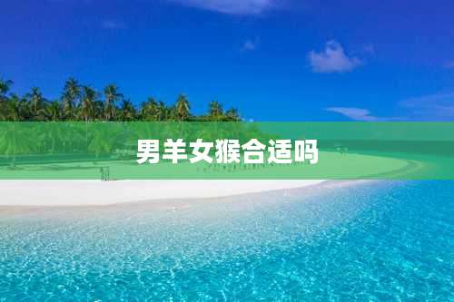 男羊女猴合适吗
