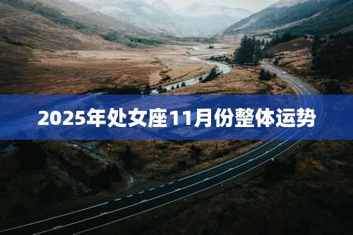 2025年处女座11月份整体运势