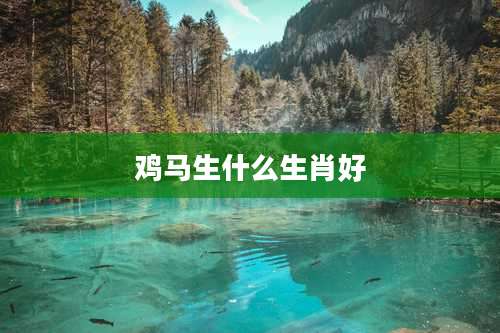 鸡马生什么生肖好
