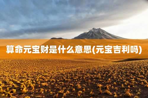算命元宝财是什么意思(元宝吉利吗)
