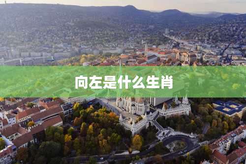 向左是什么生肖