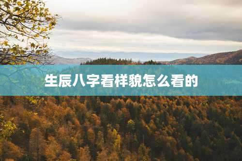 生辰八字看样貌怎么看的